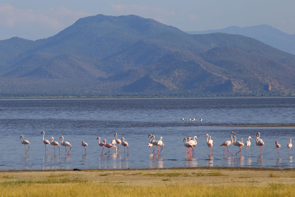 Lake Manyara beneath the Great Rift Valley escarpment