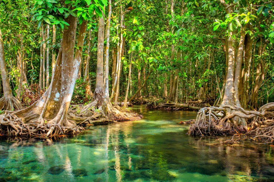Responsible eco-tourism experience in Tanzania