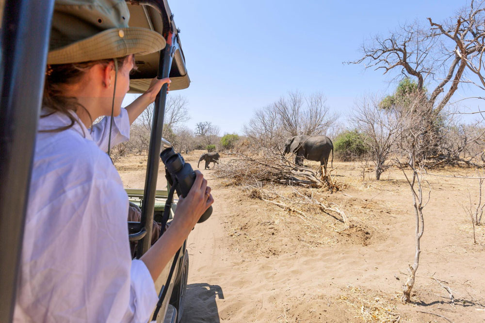 wildlife-safari-Tanzania-safari-Experience